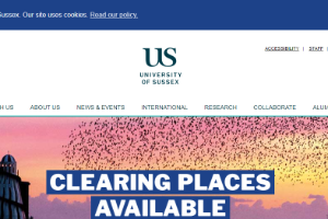 University of Sussex Website