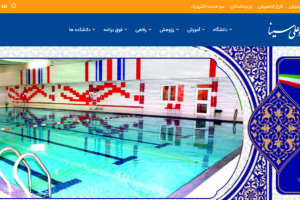 Buali Sina University Website