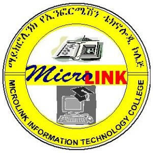 Micro Link Information Technology College	 Logo