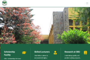 Oda Bultum University	 Website