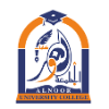 Al Noor University College Logo