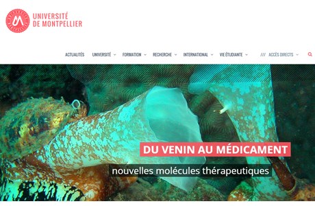 University Montpellier I Website